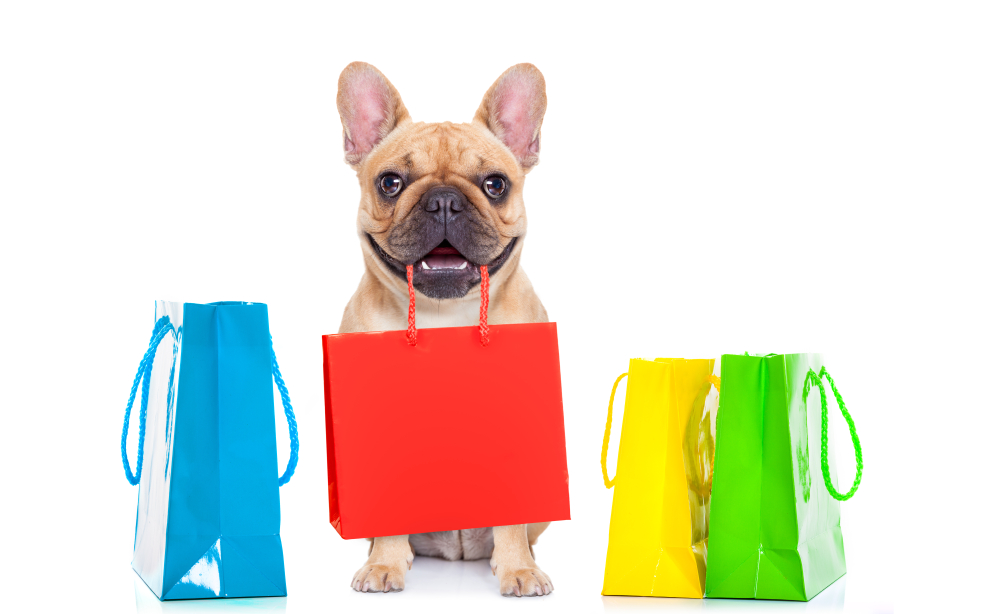 Christmas in July—5 Cool(ing) Gifts For Your Dog This Summer - Scripps  Ranch Veterinary Hospital